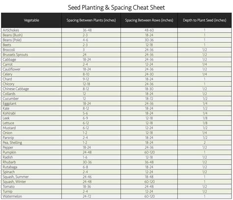 Seed Planting & Spacing Cheat Sheet