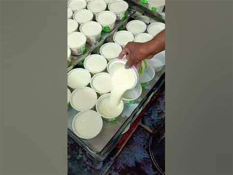 SUDHA DAIRY PLANT Curd Processing Plant @researchworld0 #unhygienicfood ...