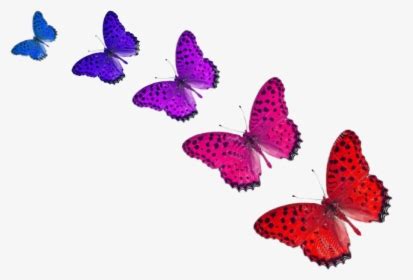 Mariposas Animadas De Colores, HD Png Download , Transparent Png Image - PNGitem