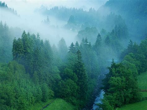 Nature of Czechia