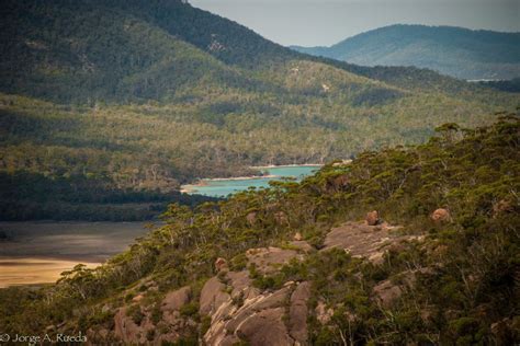 Tasmania The breathtaking natural beauty of Tassie | Places to travel, Culture travel, New ...