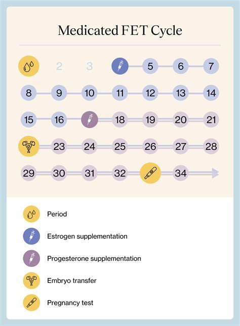 Step By Step Frozen Embryo Transfer Cycle Calendar - prntbl ...