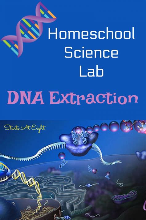Homeschool Science Lab: DNA Extraction Lab - StartsAtEight