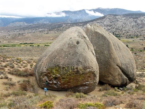 DryStoneGarden » Blog Archive » The Buttermilks