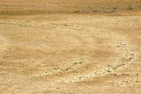 90+ Desert Erosion Surface Cracked Dry Land Close Stock Photos ...