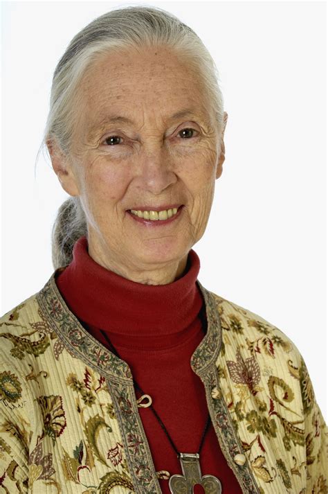 Learn about earth hero jane goodall champion of the chimps – Artofit