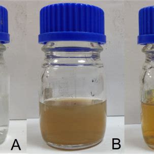 (A) Silver nitrate solution (B) Silver nitrate + Plant Extract (C ...