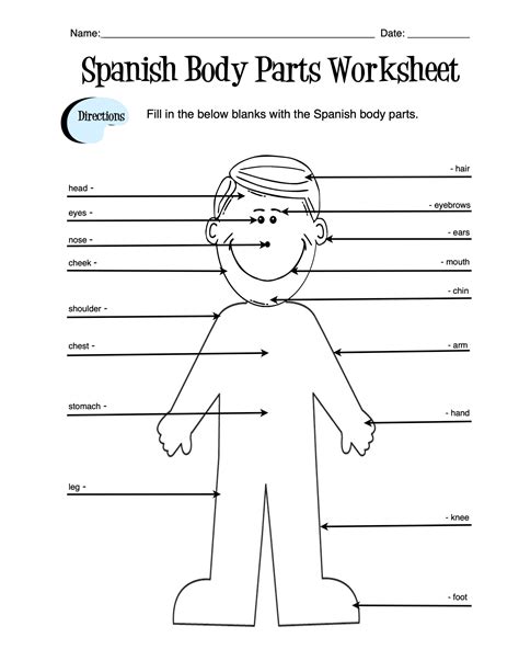 Spanish Body Parts Label Worksheet & Answer Key | Made By Teachers