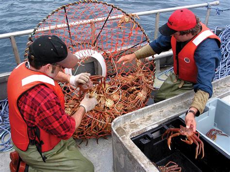 Navigator Magazine | DFO Announces New Gulf Crab Fishing Regulations