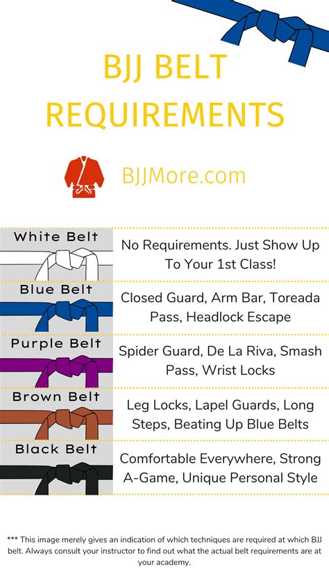 BJJ Belt Requirements And Curriculum - 5 Easy Steps