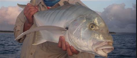 Hervey Bay | Queensland Fishing