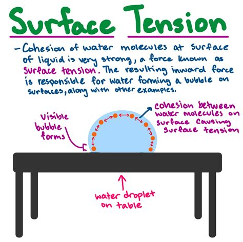 Surface Tension — Definition & Overview - Expii