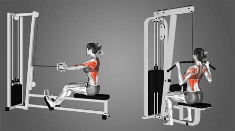 Lat Pulldown vs Seated Row: Major Differences Explained in 2023 | Lat pulldown, Rowing workout ...