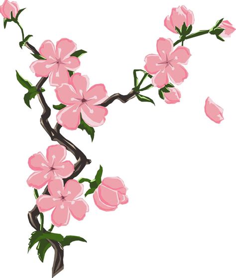 cherry flowers drawing blossom - Clip Art Library