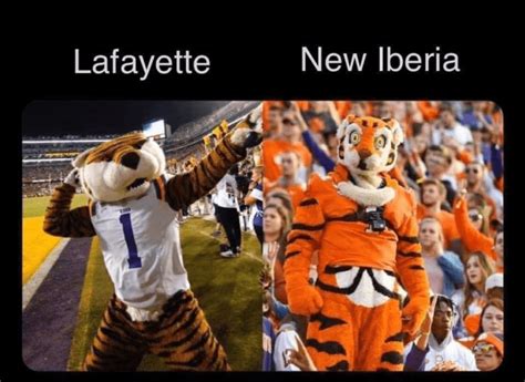 28+ Memes Funny Lsu - Factory Memes