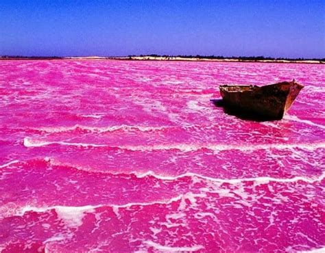 Lake Hillier, In Western Australia 'Pink Color Water' | Found The World