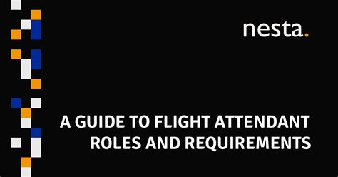 A Guide to Flight Attendant Roles and Requirements | Nesta HK