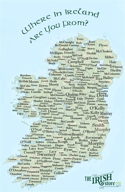 Popular Irish Surnames, Their Origin and Coat of Arms - The Irish Store ...