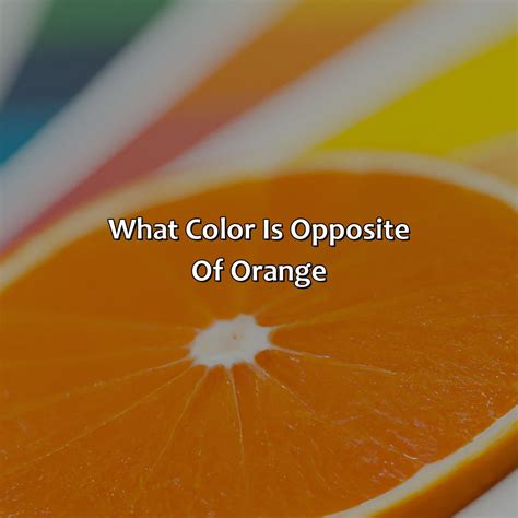 What Color Is Opposite Of Orange - colorscombo.com