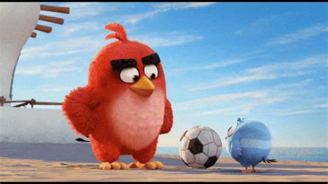 Kick GIF by Angry Birds - Find & Share on GIPHY