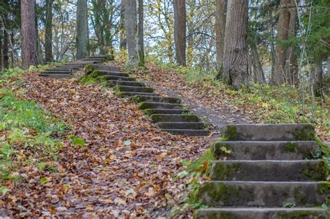 What is the myth about staircases in the woods?