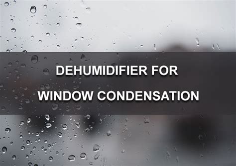 Dehumidifier for Window Condensation