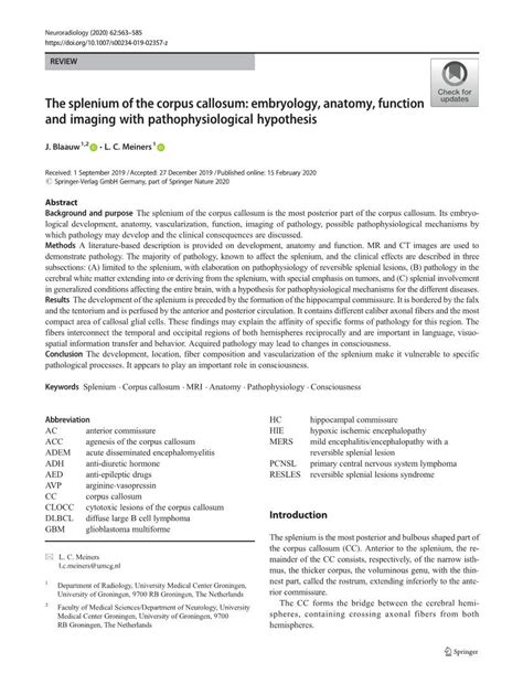 The Splenium of the Corpus Callosum: Embryology, Anatomy, Function and Imaging with ...