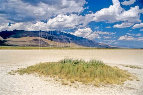 Photo of Alvord Desert by Photo Stock Source landform, Steen Mt., Oregon, USA, alkali flat ...