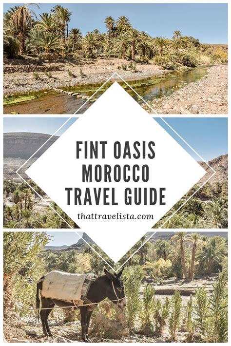 Fint Oasis, Morocco: Travel Guide