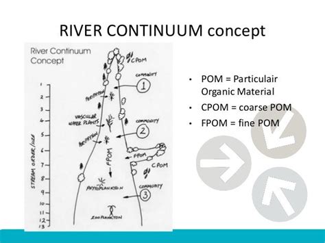 River continuum concept and measurement sunday 15 september