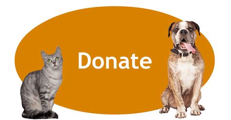 Donate | Porter County Animal Shelter, IN