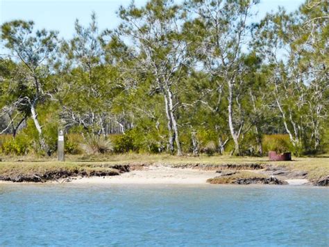 Lime Pocket camping area | Bribie Island National Park and Recreation ...