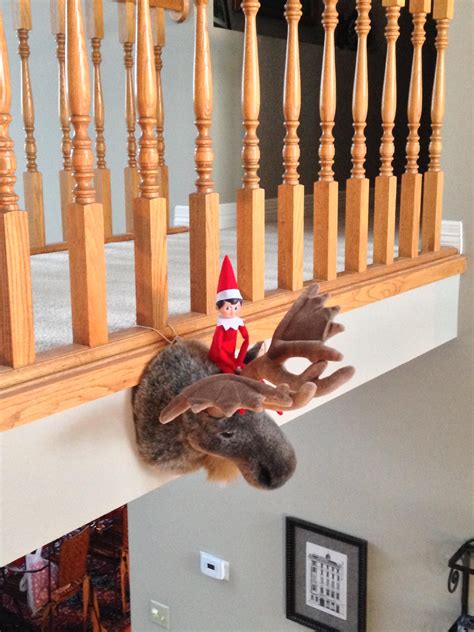 Riding the Reindeer Fred, Reindeer, Shelf, Riding, Shelving, Shelving ...