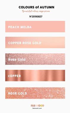 champagne rose gold color code - Google Search | Rose gold color palette, Wedding rose gold ...