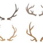 Deer antlers Design Set SVG Cut file by Creative Fabrica Crafts - Creative Fabrica