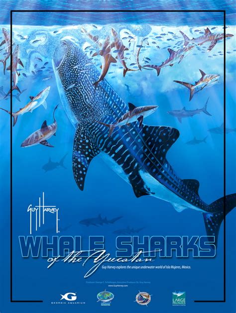 Screening Of New Guy Harvey Documentary on Research with Yucatán Whale Sharks, Mako Sharks ...