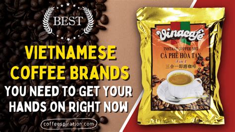 Best Vietnamese Coffee Brands You Need To Get Your Hands On Now