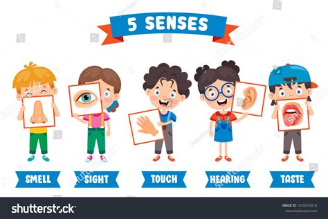 Five Senses Concept Human Organs Stock Vector (Royalty Free) 1825910018 | Shutterstock