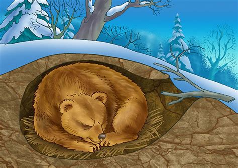 What is hibernation? Hibernation is a special kind of resting state for ...