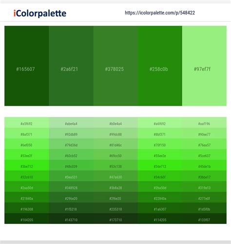 46 Latest Color Schemes with Dark Green And Light Green Color tone ...