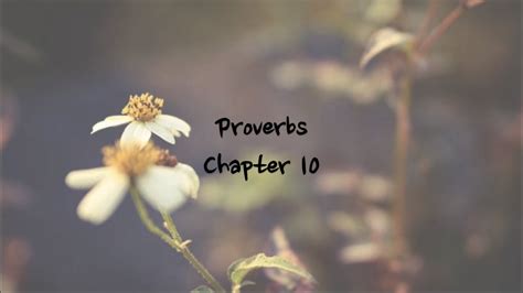 Proverbs 10 - NIV | AUDIO BIBLE & TEXT - YouTube