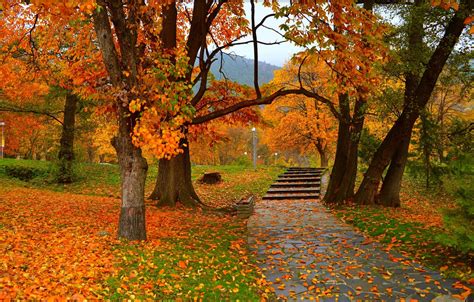 Wallpaper Autumn, Trees, Park, Fall, Foliage, Park, Autumn, Colors, Trees, Falling leaves ...