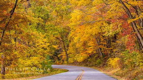 Fall Colors on the Blue Ridge Parkway in North Carolina – Natural ...