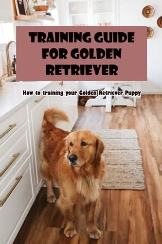 Training Guide for Golden Retriever: How to training your Golden Retriever Puppy: How to train ...