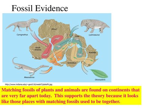 PPT - Plate Tectonics Theory PowerPoint Presentation, free download ...