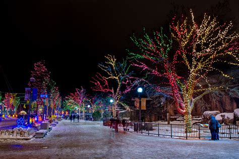 Twinkling photos from ZooLights at Lincoln Park Zoo