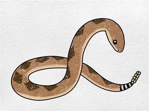 Diamondback Rattlesnake Drawing - HelloArtsy