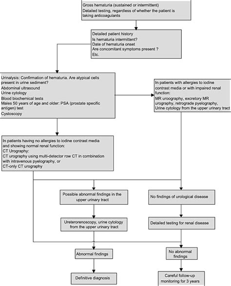 Hematuria: Definition and screening test methods - Higashihara - 2008 ...