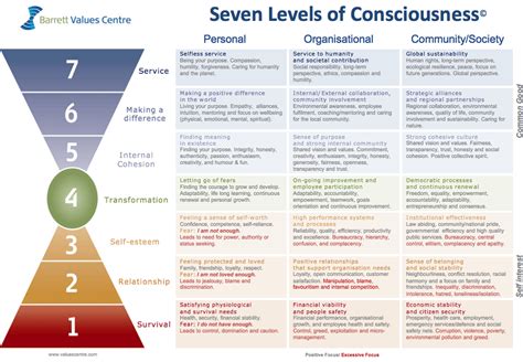 Barrett's Seven Levels of Consciousness — Doris Füllgrabe