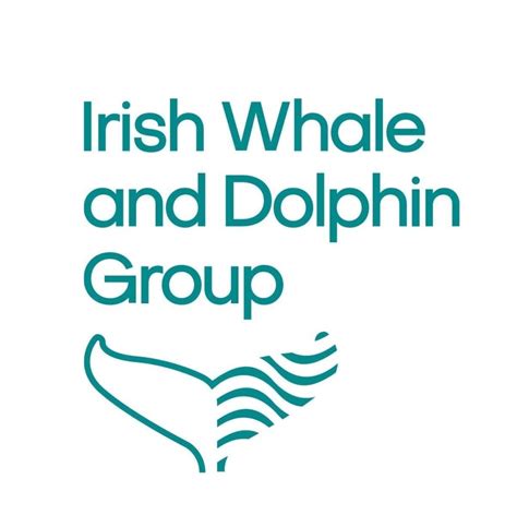 Irish Whale and Dolphin Group - Explore Your Shore!